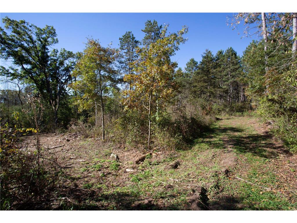 949 Riverdale Court Star Prairie Twp WI 54025 - Apple River 6826190 image24