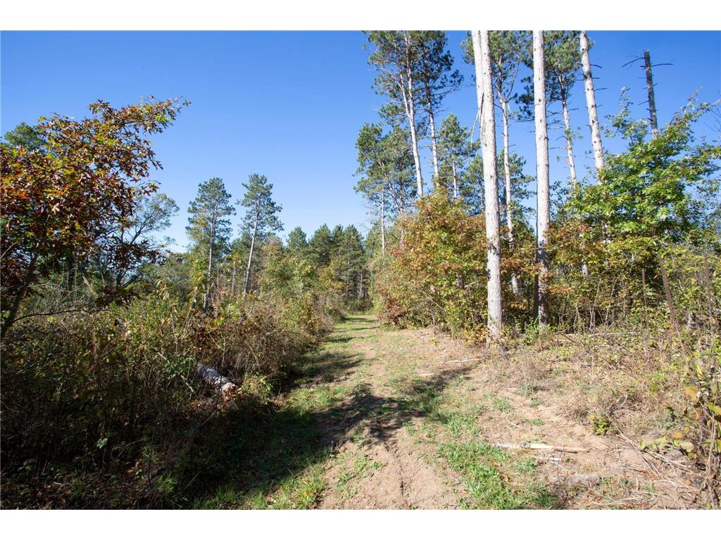 949 Riverdale Court Star Prairie Twp WI 54025 - Apple River 6826190 image25