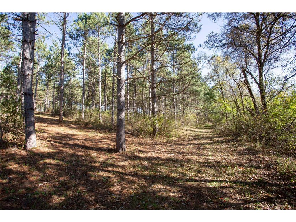 949 Riverdale Court Star Prairie Twp WI 54025 - Apple River 6826190 image26