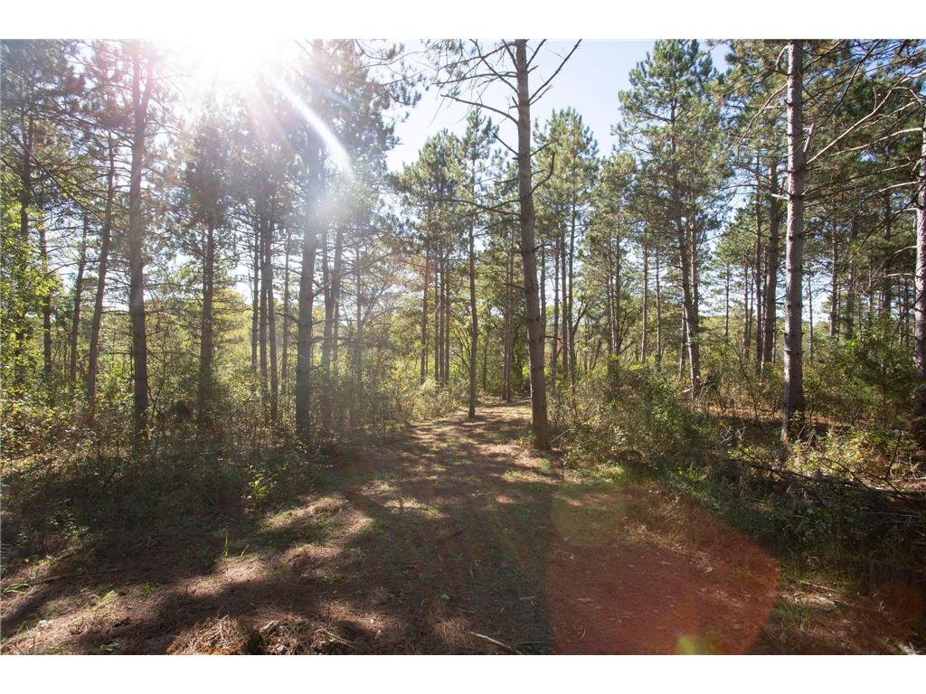 949 Riverdale Court Star Prairie Twp WI 54025 - Apple River 6826190 image27