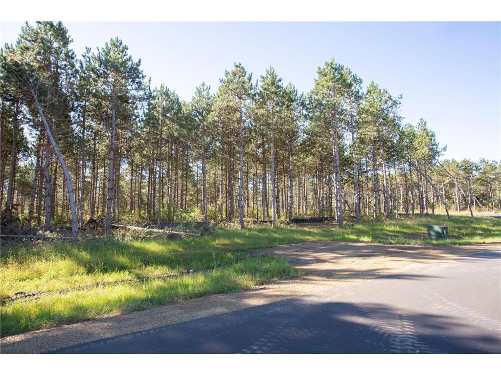 949 Riverdale Court Star Prairie Twp WI 54025 - Apple River 6826190 image28