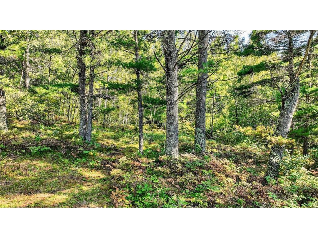 9491 Totogatic Road Cable WI 54821 6787313 image20