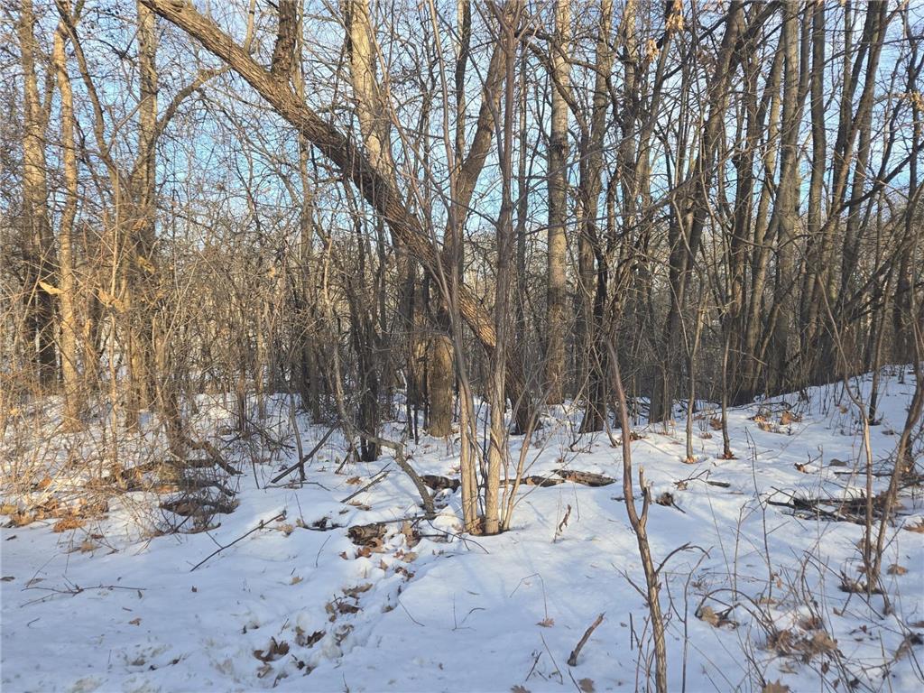 9492 N Shore Trail N Forest Lake MN 55025 - Forest 6728555 image1