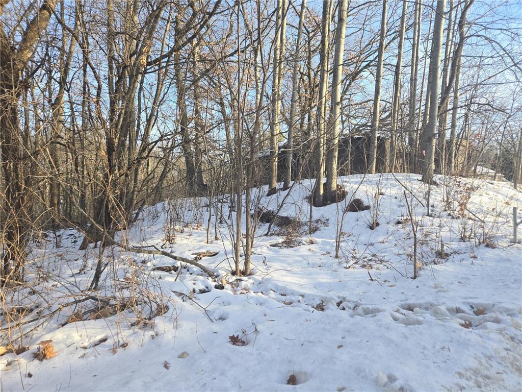 9492 N Shore Trail N Forest Lake MN 55025 - Forest 6728555 image2