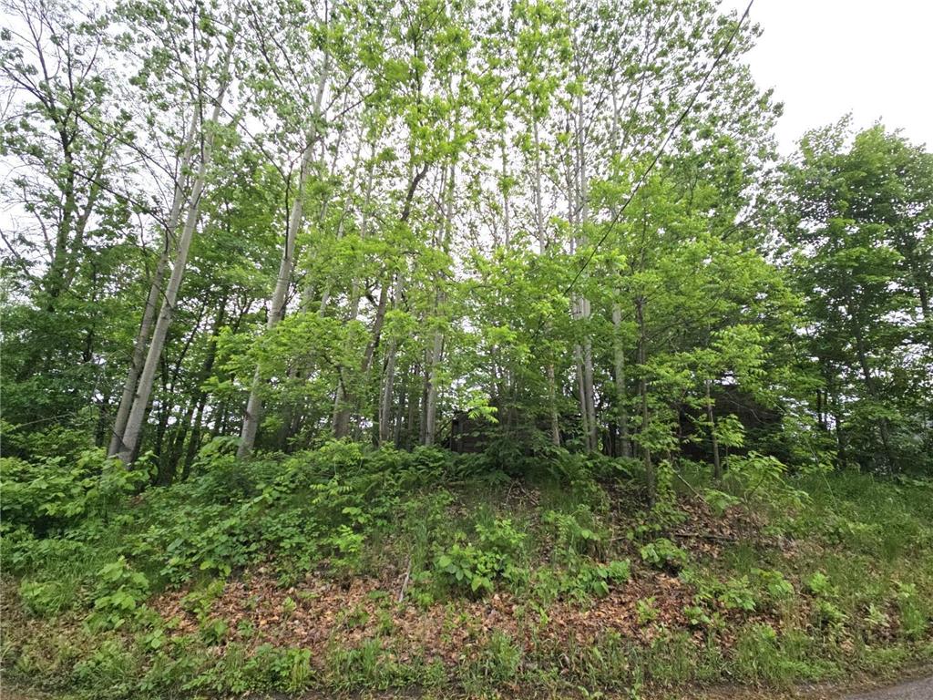 9492 N Shore Trail N Forest Lake MN 55025 - Forest 6728555 image4