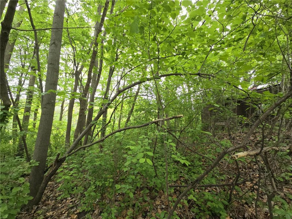 9492 N Shore Trail N Forest Lake MN 55025 - Forest 6728555 image5