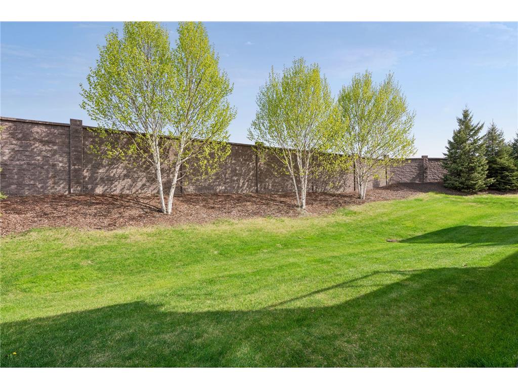 9496 River Rock Drive S Chanhassen MN 55317 7065041 image27