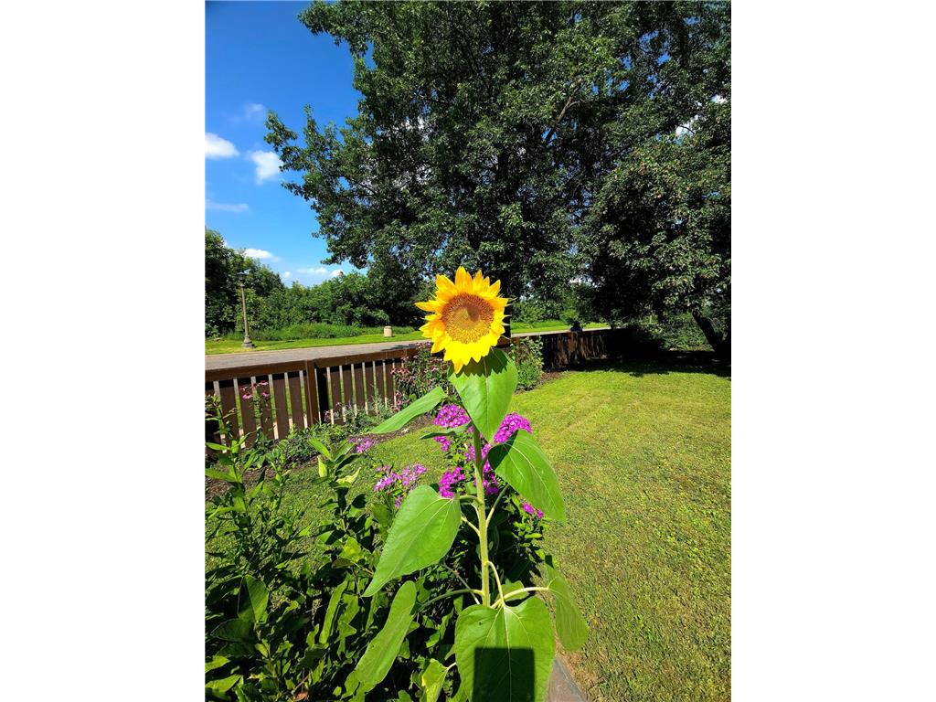 95 Colorado Street W Saint Paul MN 55107 - Mississippi 6796482 image82