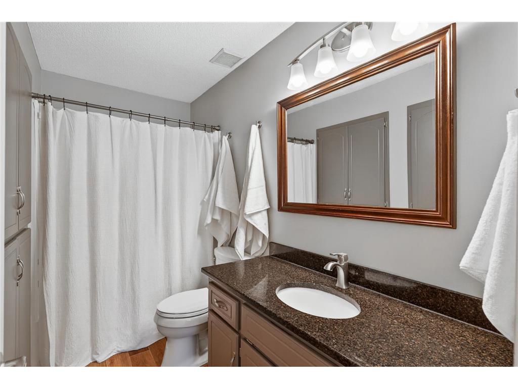 9510 Parkside Trail Champlin MN 55316 7062178 image16