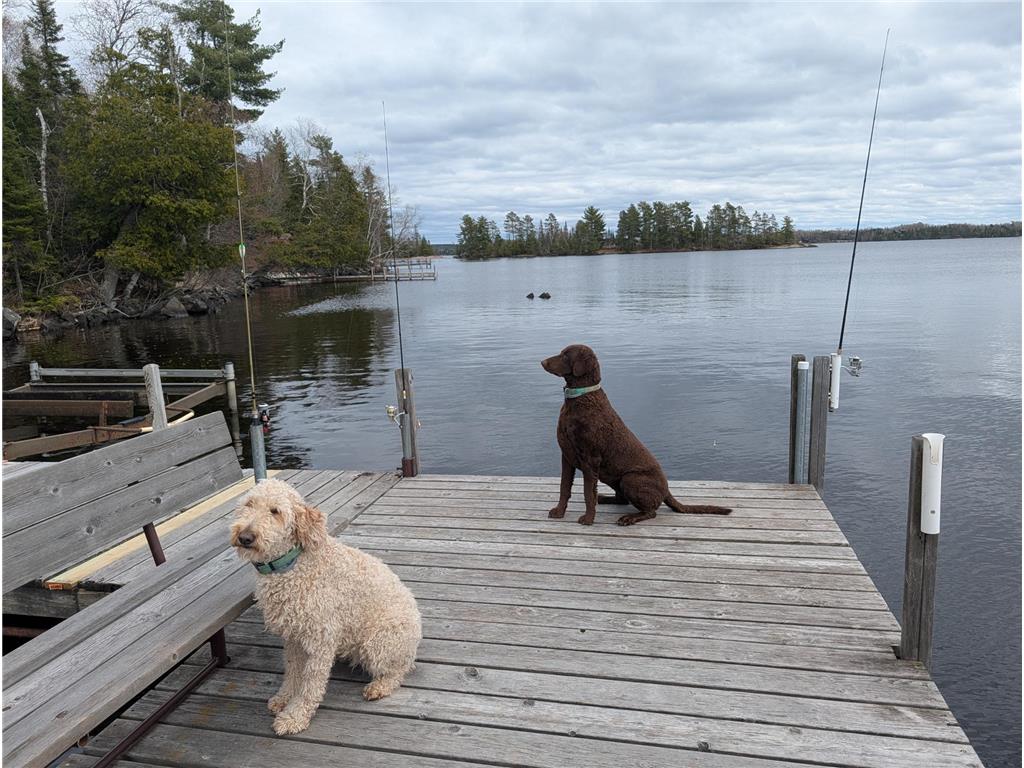 95175 Trapper Shack Bay Greenwood Twp MN 55790 - Vermilion 7072239 image50