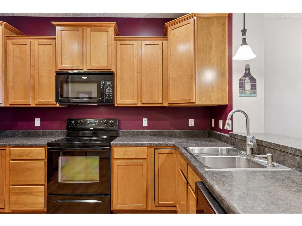 9536 Scott Circle N Brooklyn Park MN 55443 6819735 image15