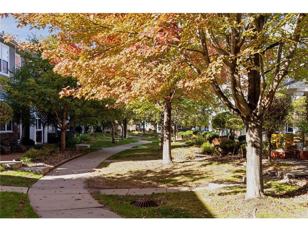 9536 Scott Circle N Brooklyn Park MN 55443 6819735 image33