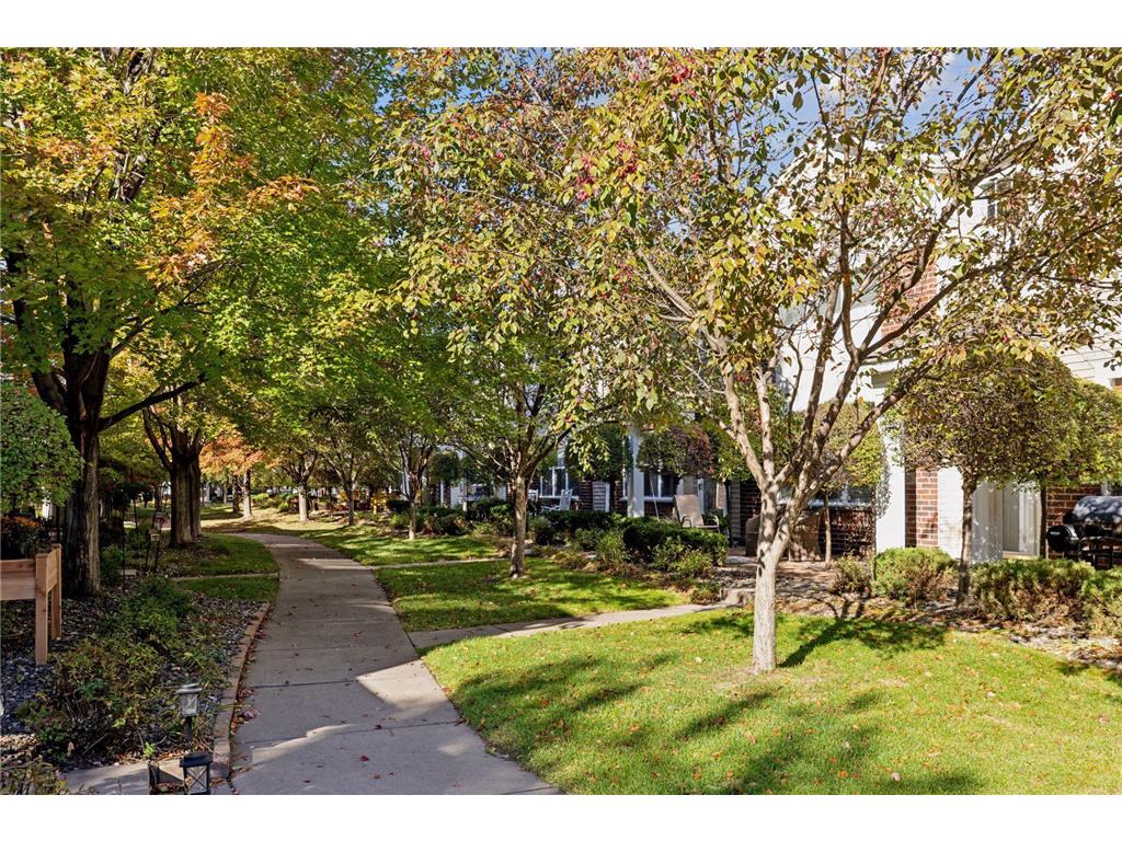 9536 Scott Circle N Brooklyn Park MN 55443 6819735 image34
