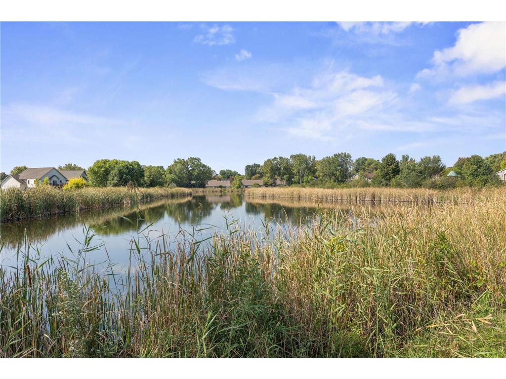 954 Conner Street Chaska MN 55318 7039366 image21