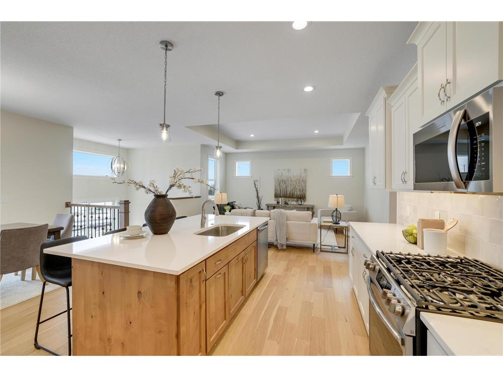9540 63rd Street S Cottage Grove MN 55016 7053238 image14