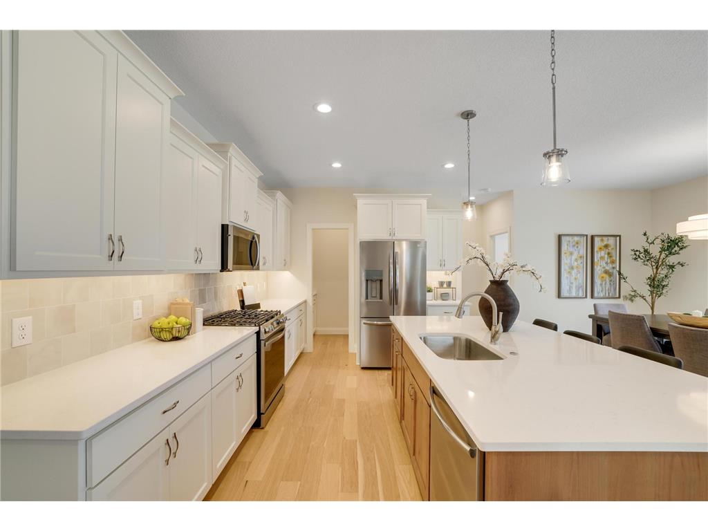 9540 63rd Street S Cottage Grove MN 55016 7053238 image9