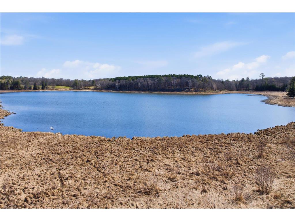 9540 Lake Douglas Way Breezy Point MN 56472 7064893 image42