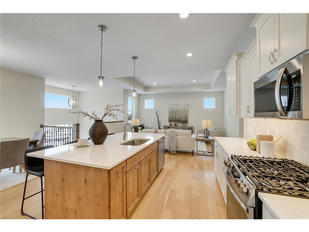 9544 63rd Street S Cottage Grove MN 55016 7092997 image13