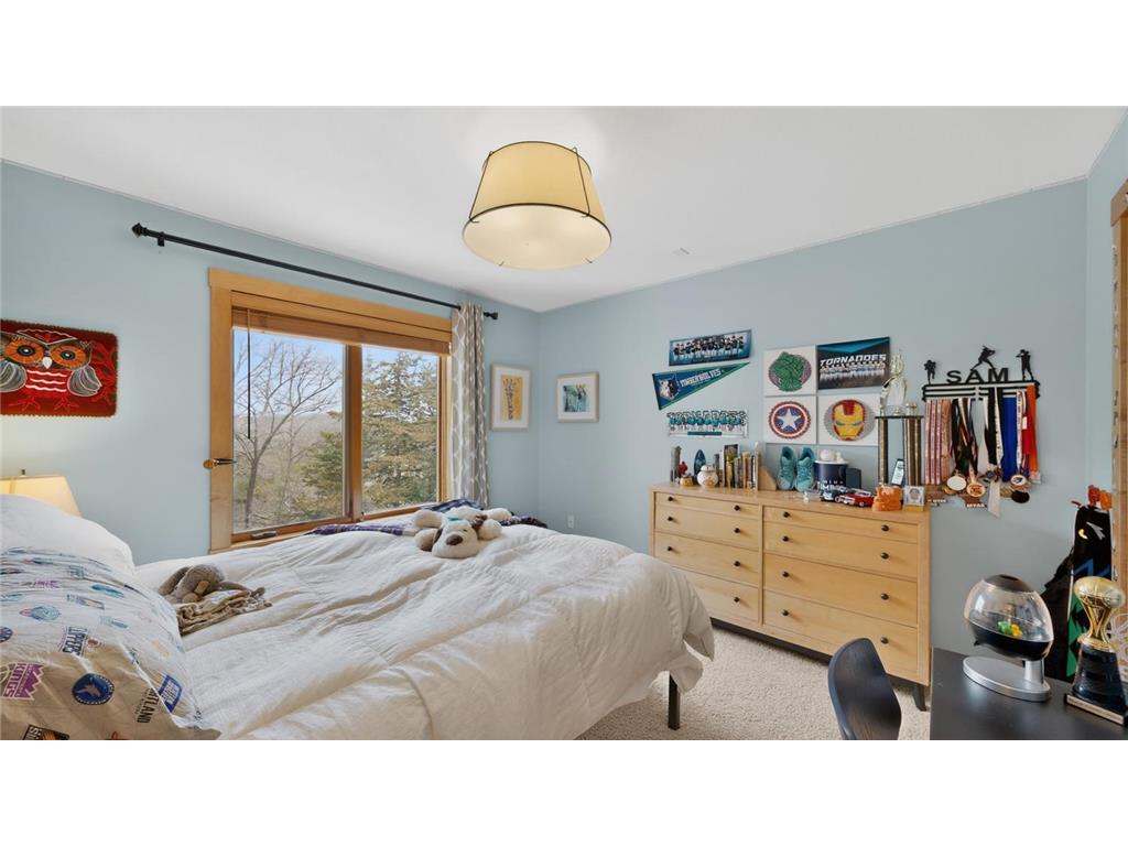 955 Cedar Point Lane SE Oronoco MN 55960 - Zumbro River 7073214 image37