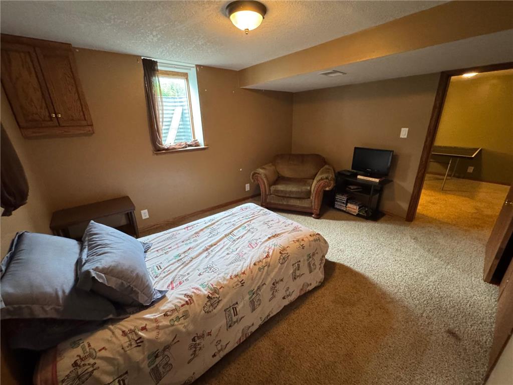 955 S 3rd Avenue Albert Lea MN 56007 7084364 image23
