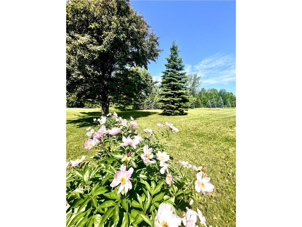 9551 230th Street E Lakeville MN 55044 6683049 image7