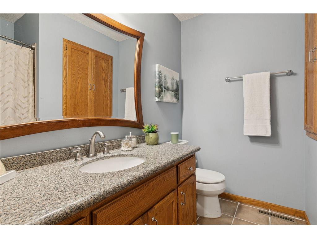 9556 79th Street S Cottage Grove MN 55016 6795990 image13