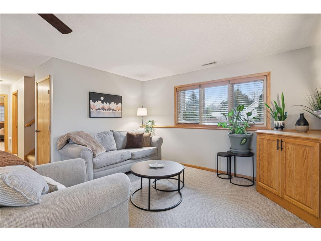 9556 79th Street S Cottage Grove MN 55016 6795990 image15