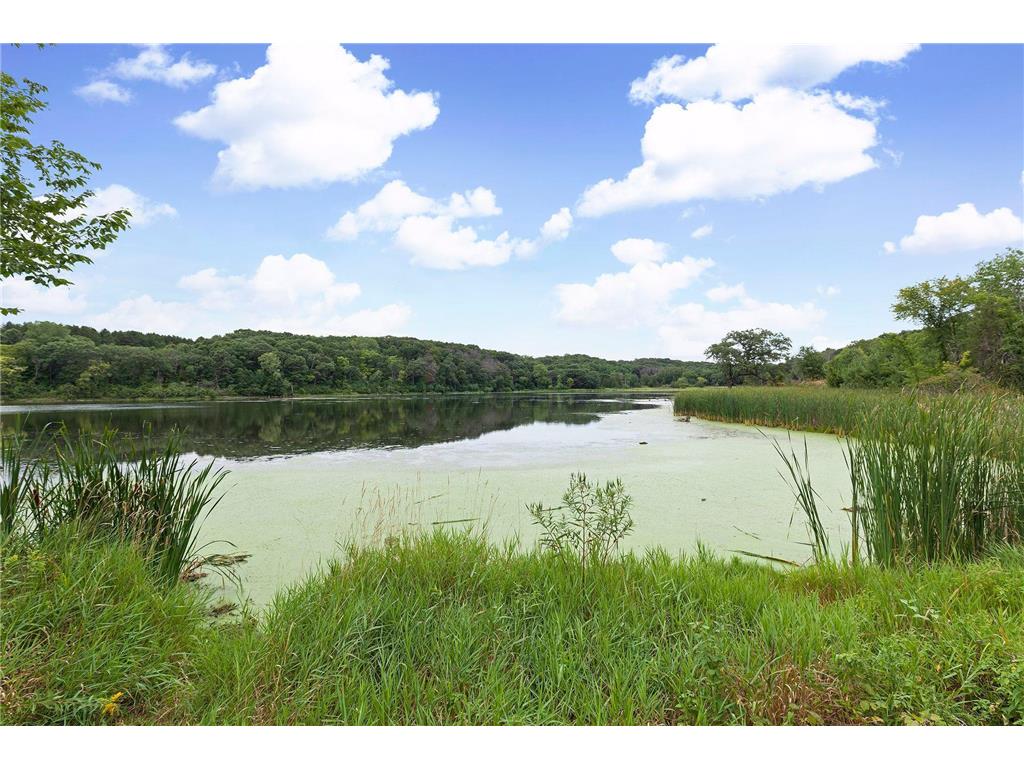 9556 79th Street S Cottage Grove MN 55016 6795990 image30