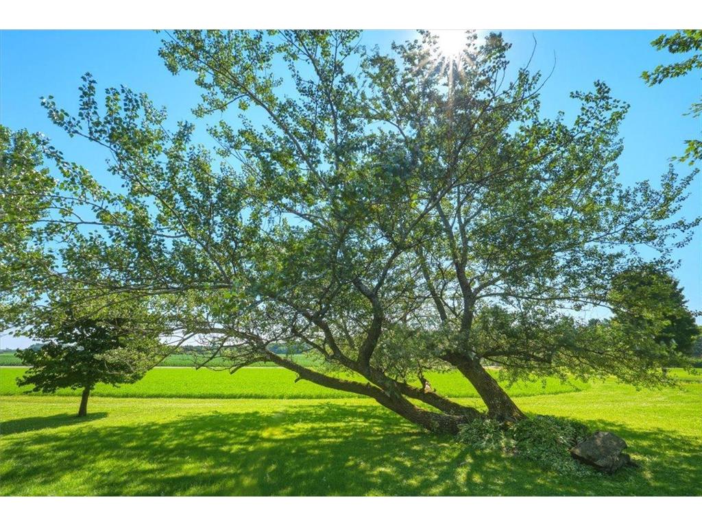 956 280th Street Springfield Twp WI 54028 7105267 image42