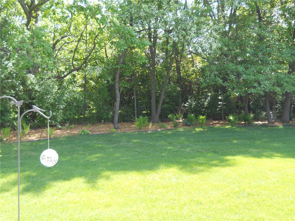 956 Willow Grove Circle Waite Park MN 56387 7083830 image16