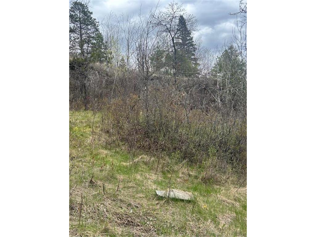 95642 Pine Island Greenwood Twp MN 55790 - Vermilion 7077405 image10