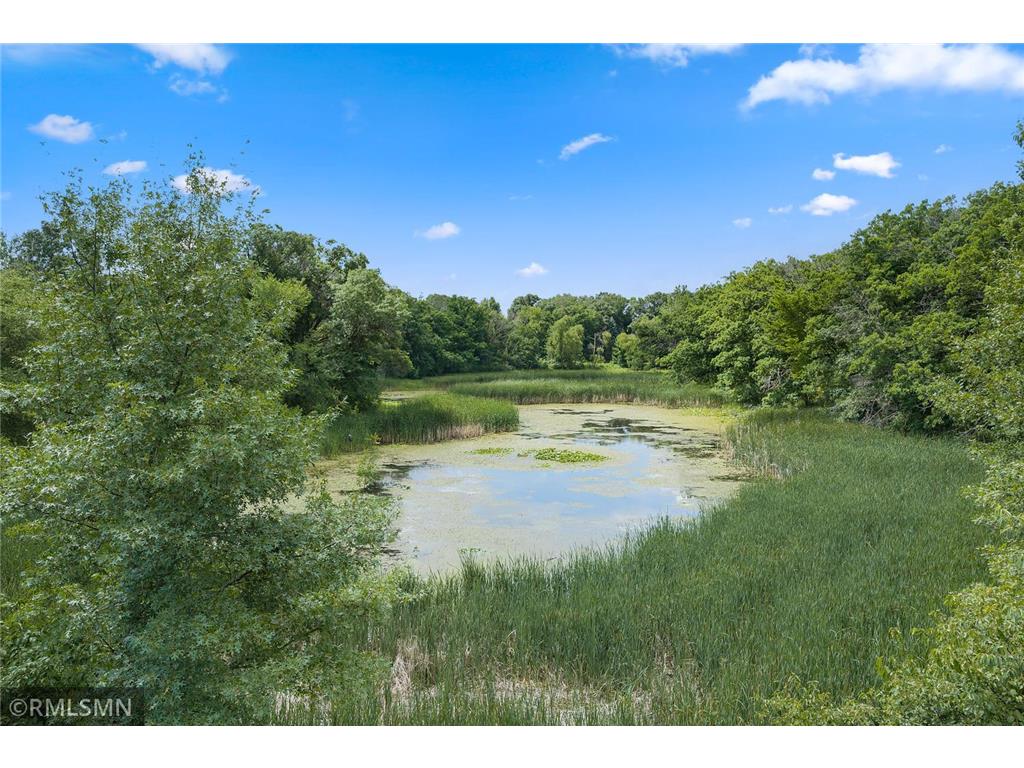 9570 Norway Hills Trail New Market Twp MN 55044 7102971 image48