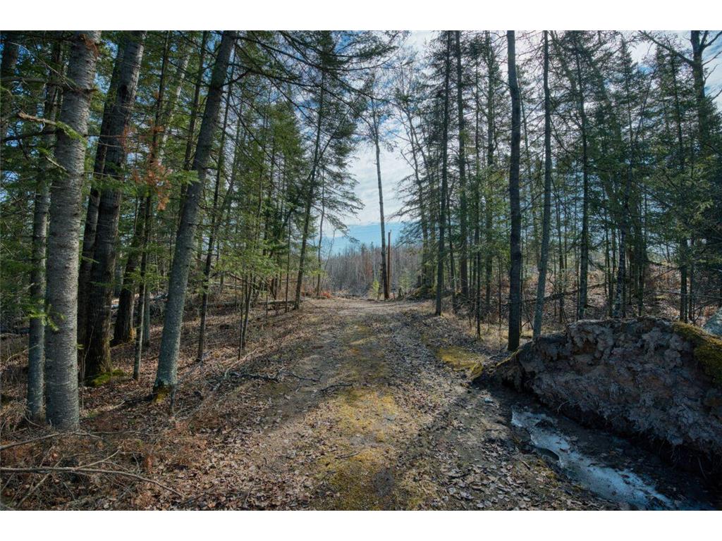 9572 Bonner Road Great Scott Twp MN 55768 - Doherty 7054217 image20
