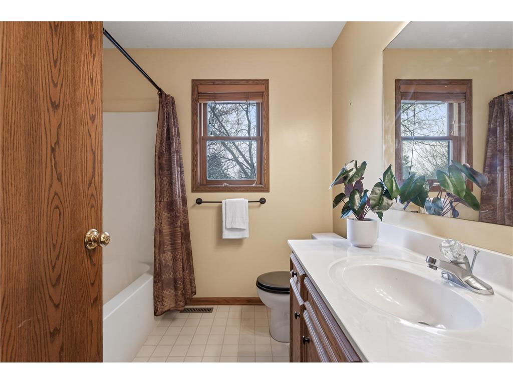 9585 72nd Street S Cottage Grove MN 55016 7046008 image27
