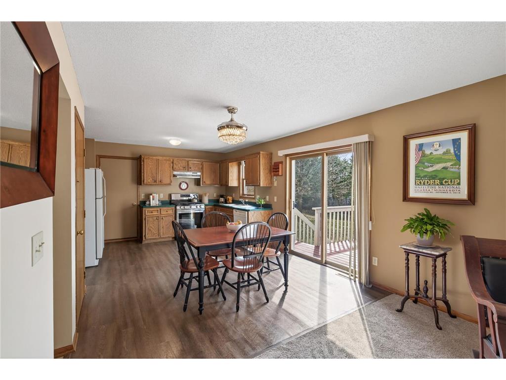 9585 72nd Street S Cottage Grove MN 55016 7046008 image8