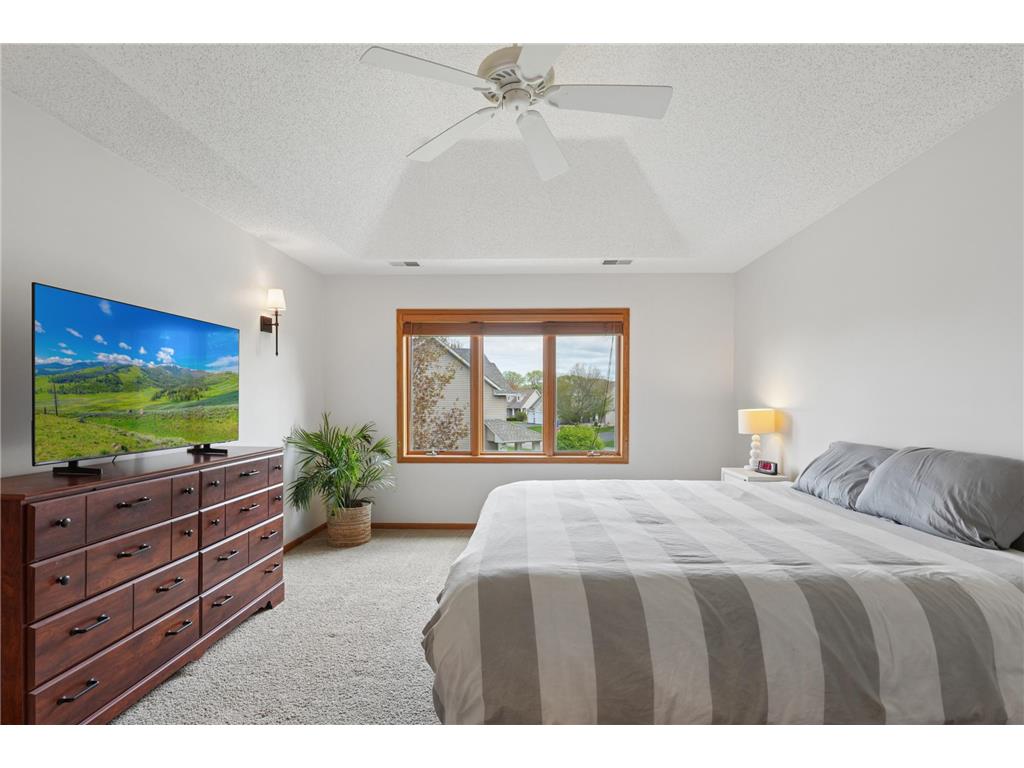 9595 Dunes Avenue Cottage Grove MN 55016 7065843 image27