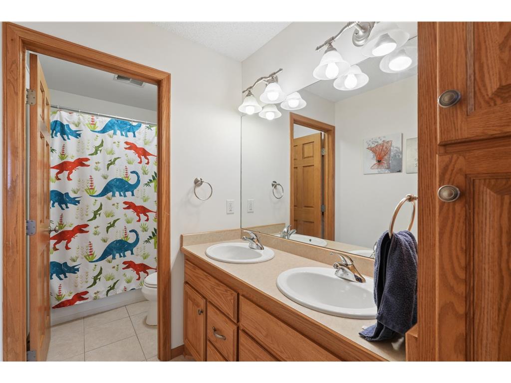 9595 Dunes Avenue Cottage Grove MN 55016 7065843 image36