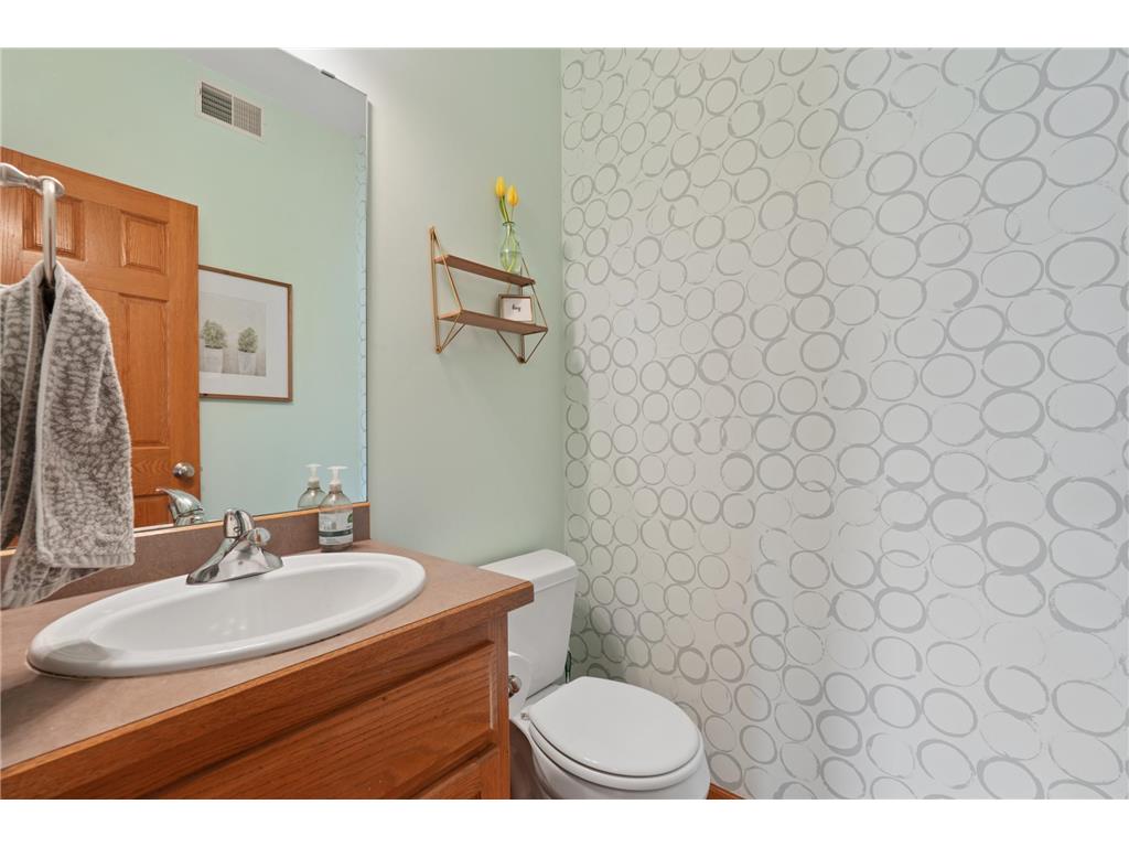 9595 Dunes Avenue Cottage Grove MN 55016 7065843 image37