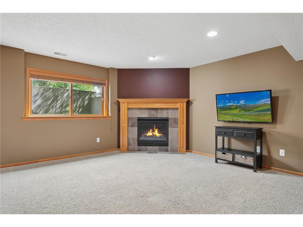 9595 Dunes Avenue Cottage Grove MN 55016 7065843 image44