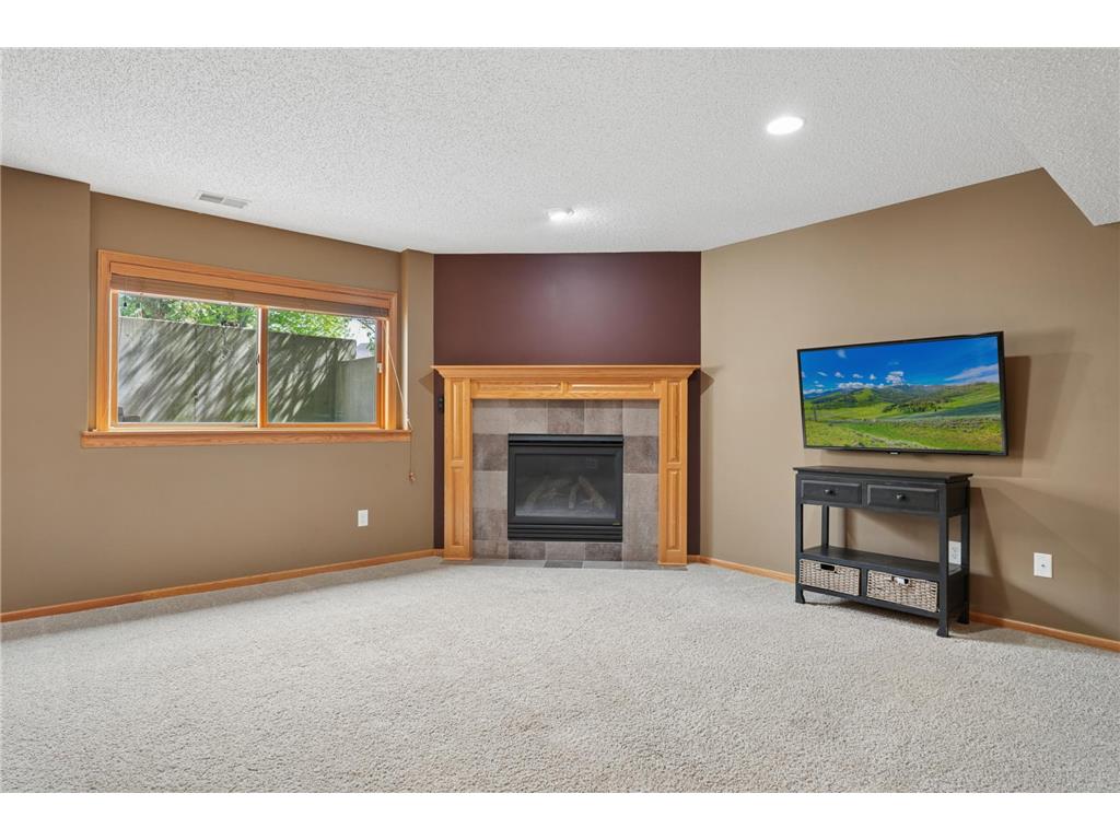 9595 Dunes Avenue Cottage Grove MN 55016 7065843 image45