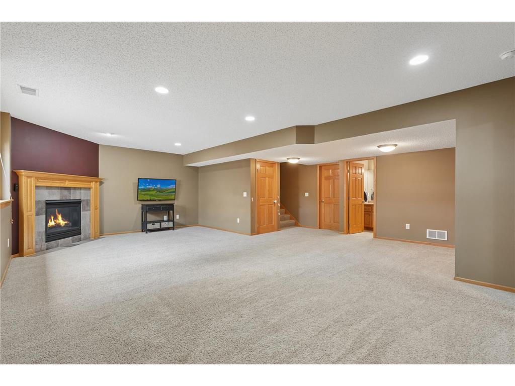 9595 Dunes Avenue Cottage Grove MN 55016 7065843 image46
