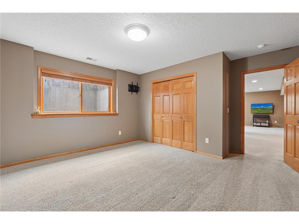9595 Dunes Avenue Cottage Grove MN 55016 7065843 image49