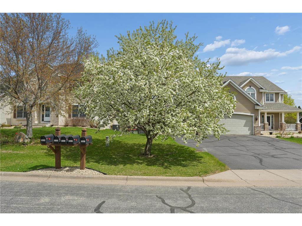 9595 Dunes Avenue Cottage Grove MN 55016 7065843 image60