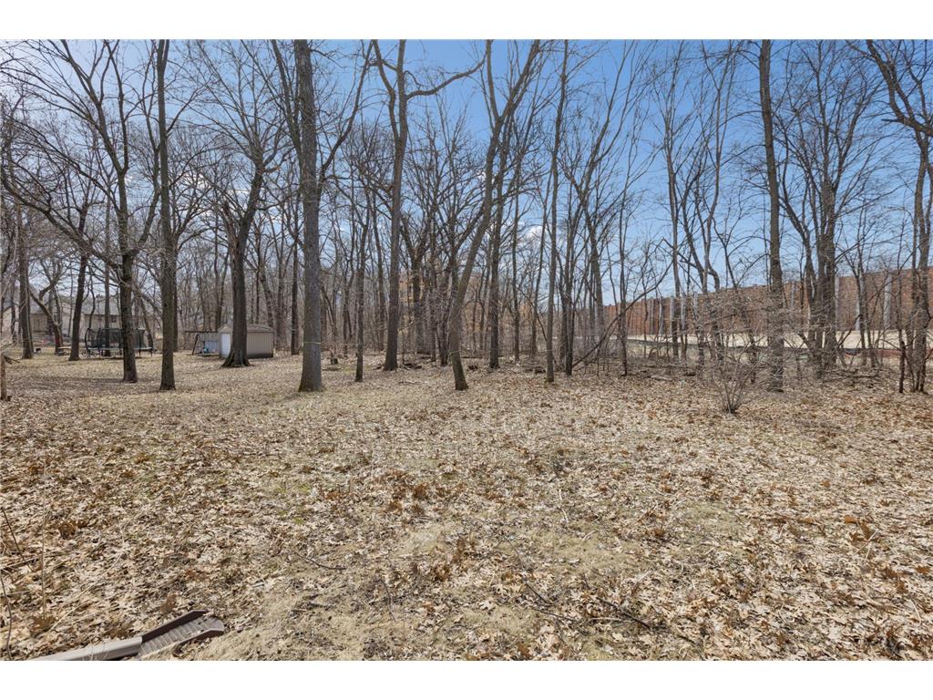 9597 Mill Trail Lane Monticello MN 55362 7043210 image31