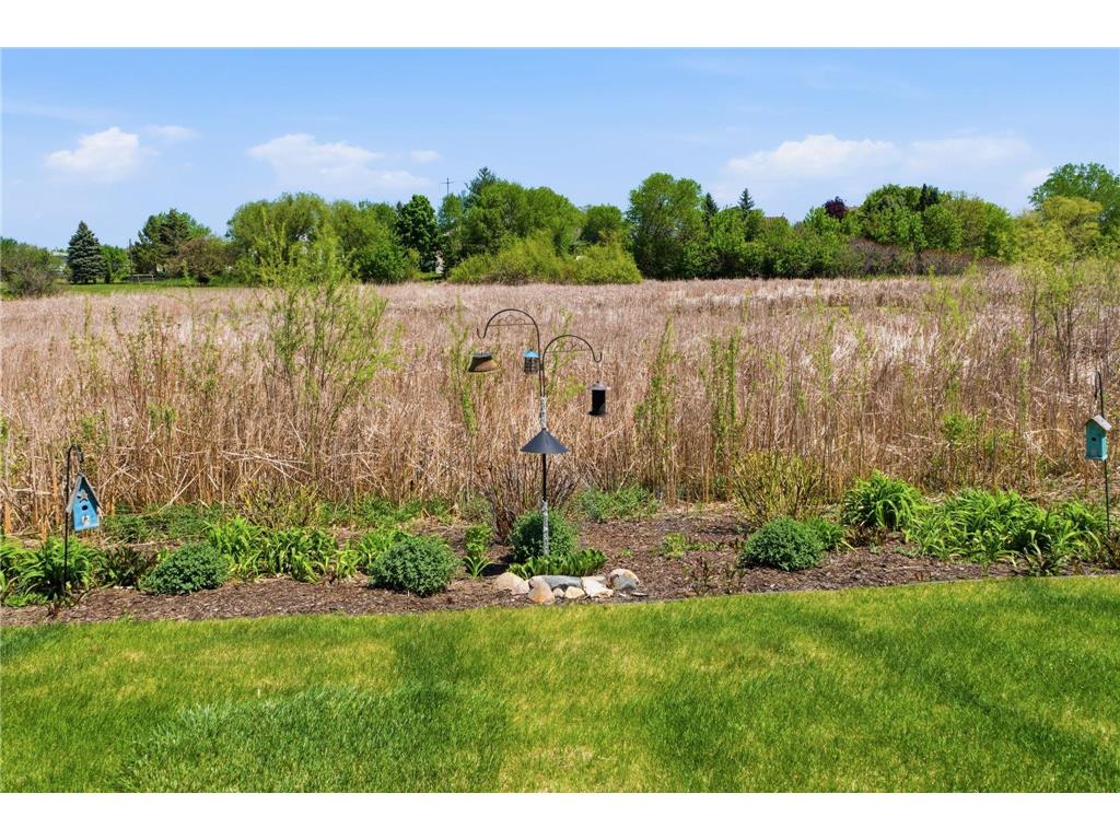 9598 Zircon Court N Maple Grove MN 55311 7074286 image35