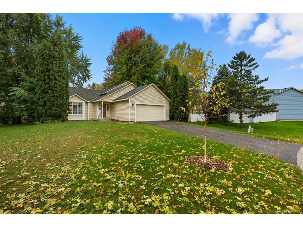 9603 82nd Street S Cottage Grove MN 55016 6804152 image1