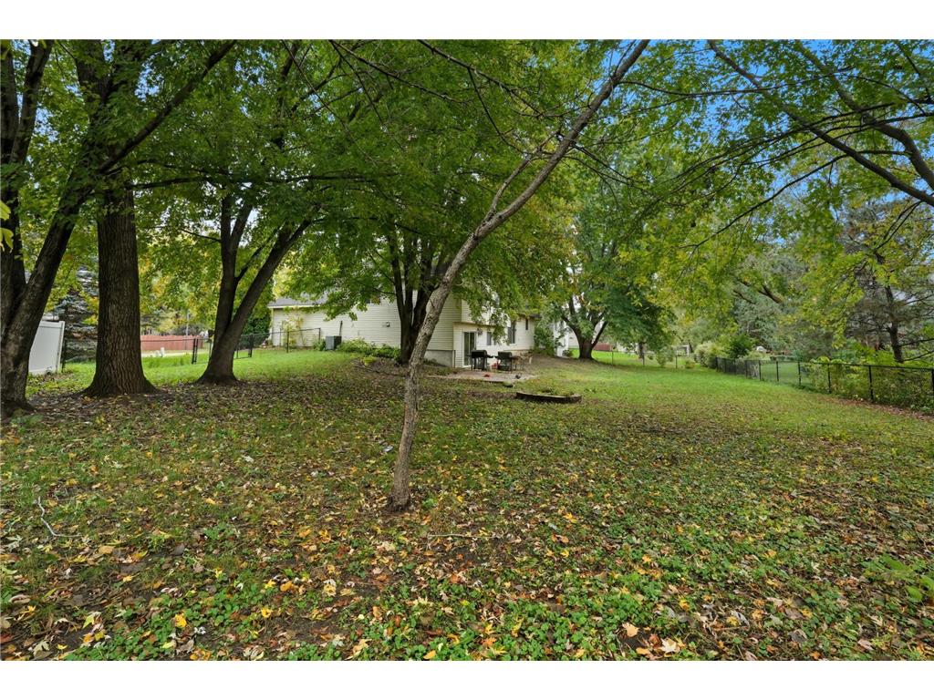 9603 82nd Street S Cottage Grove MN 55016 6804152 image3