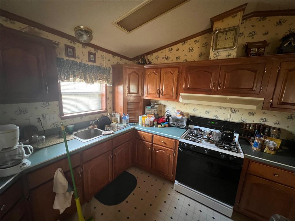 9603 S Gull Lake Road NE, Tenstrike, MN, 56683 MLS 6508833 Edina