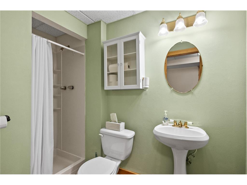 9604 Nursery Lane NW Brandon Twp MN 56315 - Chippewa 7066187 image31