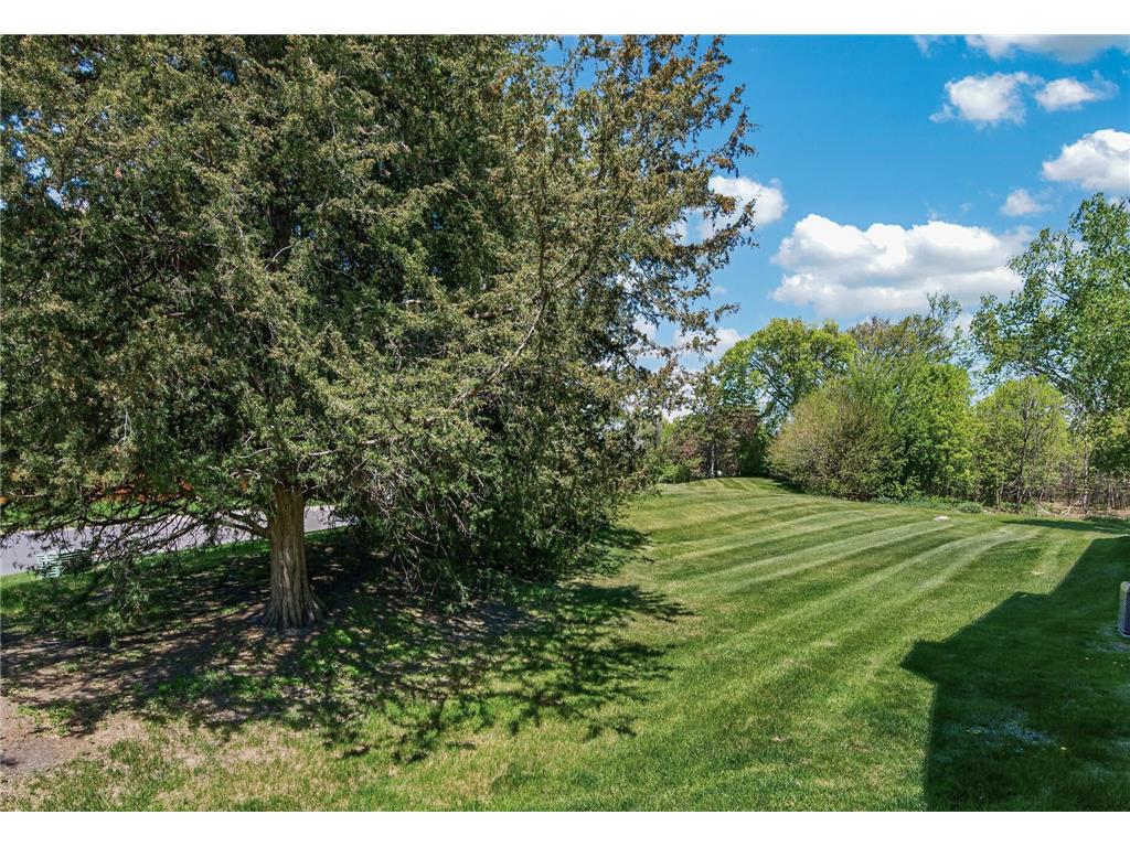 9625 Hampshire Lane Eden Prairie MN 55347 7069333 image42
